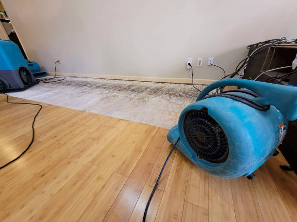 Professional Basement Flood Cleanup technician working in Wartrace, TN